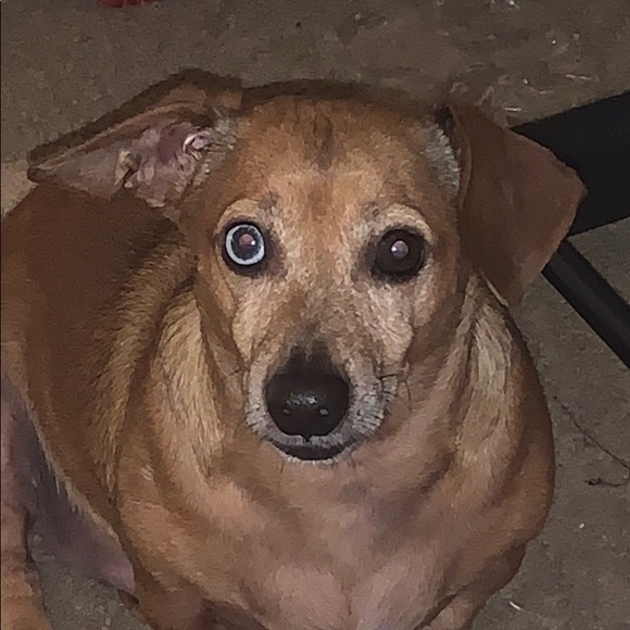 Meet your Posher, Katiebeth - Picture 2 of 2